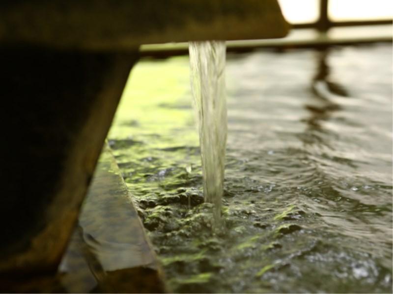 Besshoonsen Nanjyo Ryokan Ueda Bagian luar foto